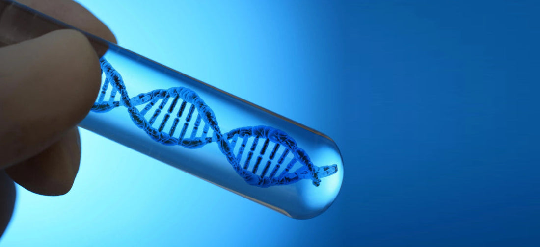 What are genetic and nutrigenomics?